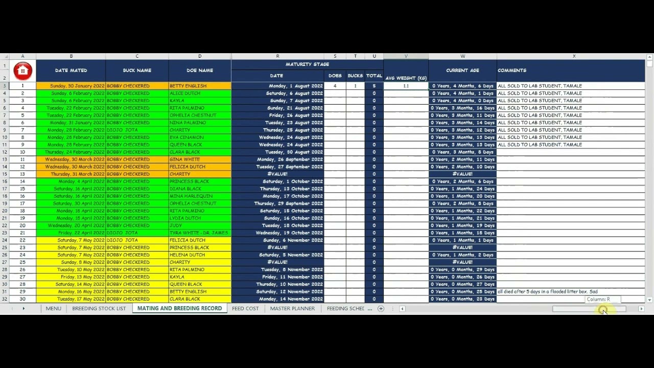 SPREADSHEET FOR RABBIT FARMING FULL VIDEO + AUDIO