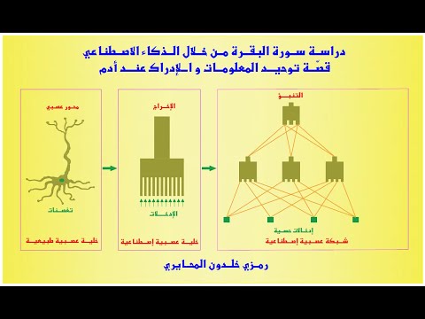 فيديو: ما هو الإدراك في الذكاء الاصطناعي؟