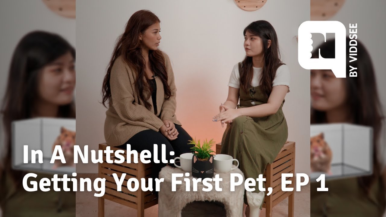 In A Nutshell: Getting Your First Pet, Ep 1 - Lifestyle Adjustments