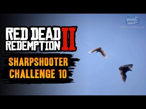 Red Dead Redemption 2 Sharpshooter Challenge #10 Guide - Kill 3 Birds With 3 Long Scoped Rifle Shots