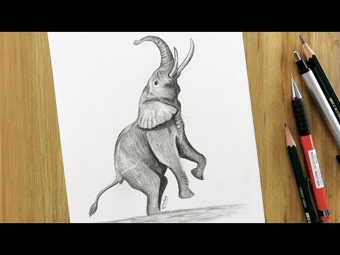 فيديو: كيفية رسم فيل بقلم رصاص