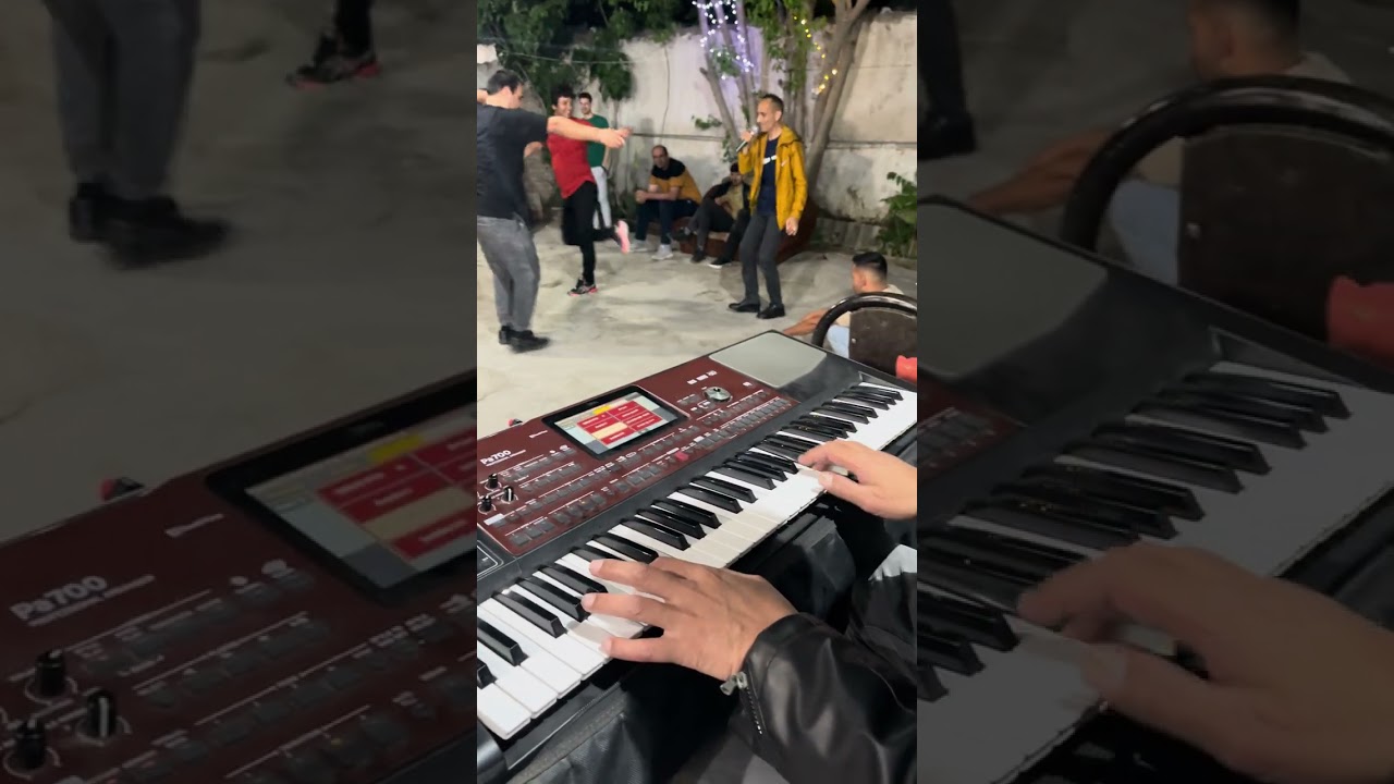 indyana  turkmen artist aidi tana halipa