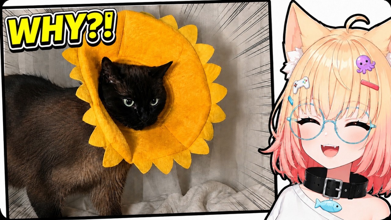 MinikoMew reacts to the CUTEST animal memes on the internet!
