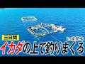 #1 離島の養殖イカダの周りで三日間釣りしまくってみた！【イカダの上で2泊3日釣り】