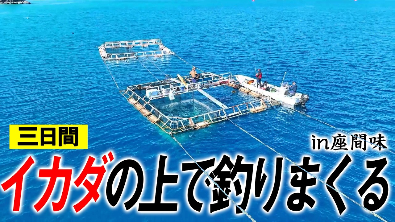 #1 離島の養殖イカダの周りで三日間釣りしまくってみた！【イカダの上で2泊3日釣り】