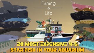 Fishing & Life | Top 20 Best 4 - 5 Star Fish in your Aquarium | screenshot 5