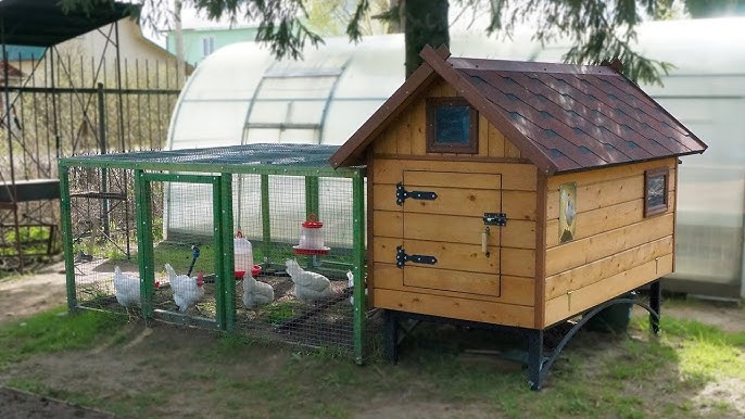 Piękny drewniany Podlaski Kurnik z wolierą w ogrodzie. Kurnik na 20 kur. 