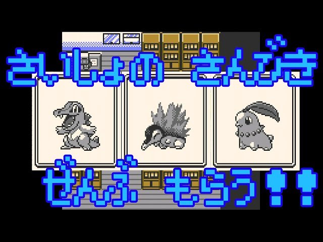 立体ポケモン図鑑 金銀御三家まとめ売り レビュー】ポケットモンスター 立体ポケモン図鑑 SPECIAL 03