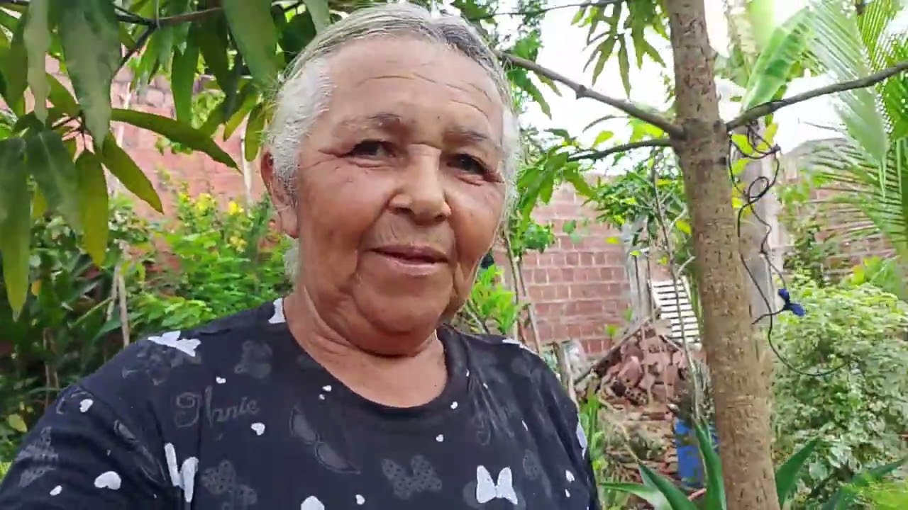 Fazendo a casinha do meu mini sítio 