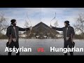Bow assyrien contre hongrois  comparaison du meilleur arc  moins de 300 de bogar archery