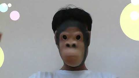 [ウキウキモンキー]　Processing OpenCV インタラクティブアート