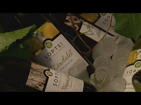 Videó: Fában élni: Verseny Bordeaux-ban