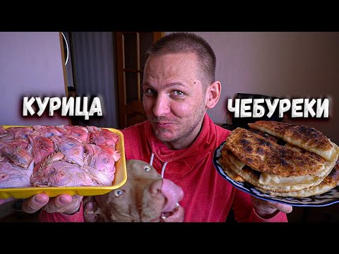 Что выберут мои собаки? Чебуреки или куриные головы