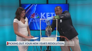 New Years Resolution Health Plan