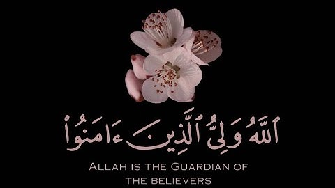 قران كريم | سورة البقرة | القارئ صهيب حسن | تلاوة خاشعة😌❤️ | حالات واتس اب قران