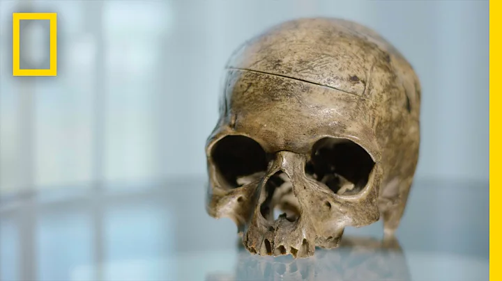 Exclusive: Is This the Skull of Slave Rebellion Le...