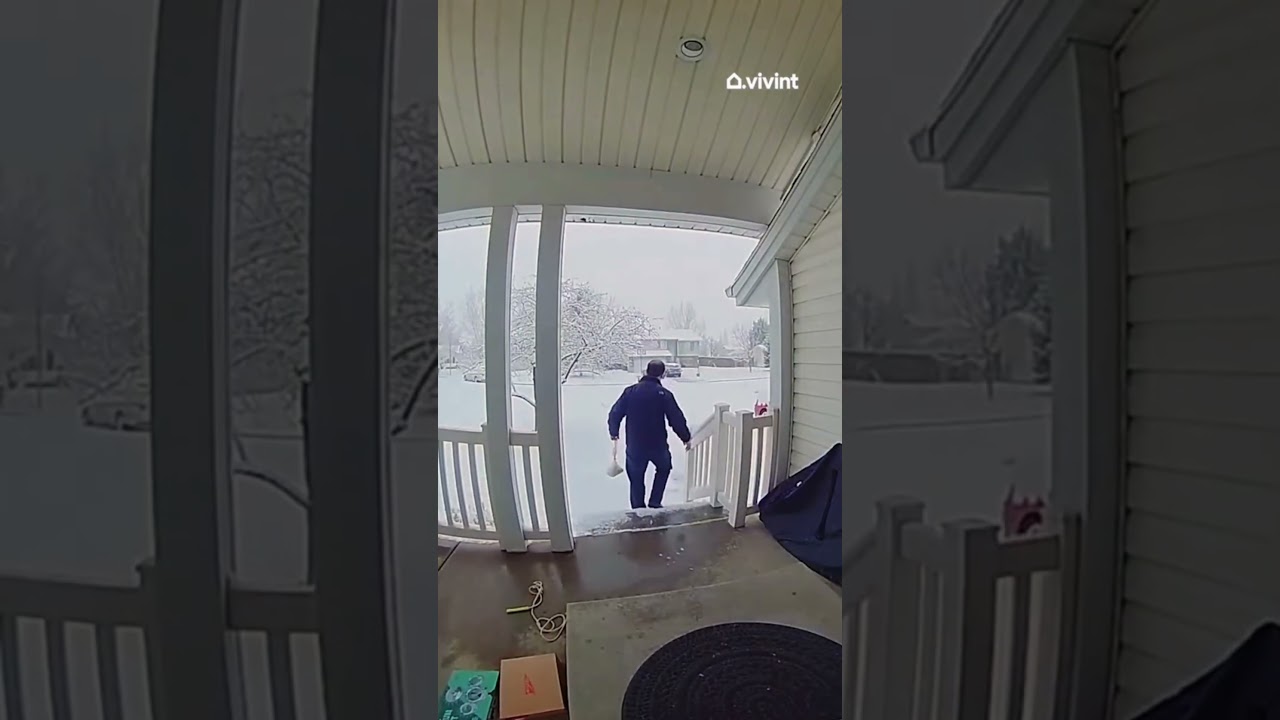 Funny failure under surveillance #PetFYP #funnyfilters #funnychallenge #filterchallenge #usa