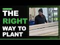 The Right Way to Plant