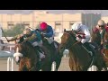 RM 35 Al Rayyan Race 9- H.H. Sheikh Mohammed bin Khalifa Al Thani Trophy