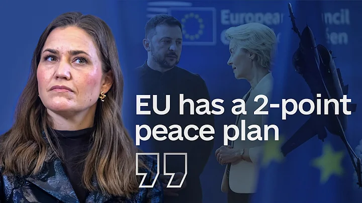 Swedish, Danish ministers on US peace push and EU's role at the table