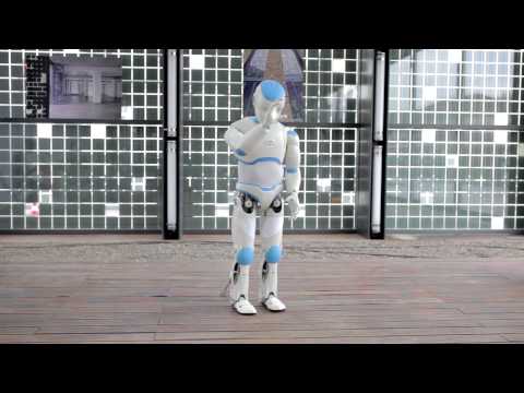 ROMEO PROJECT PRESENTATION (Romeo robot)