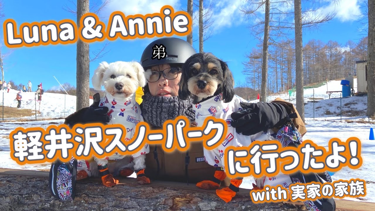 【シュナウザー】愛犬と一緒に雪遊びのために軽井沢スノーパークに行ってきたよ♪