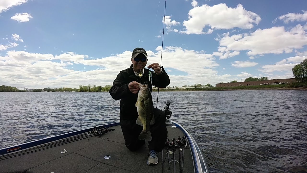 Big bass on a Picasso Inviz-Wire Spinnerbait with PowerTeam Lures JP Hammer shad!