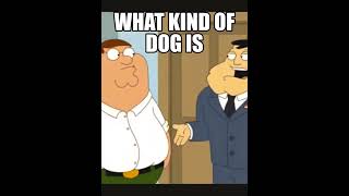 Family Guy | What kind of dog is that Family Guy | What kind of dog is that