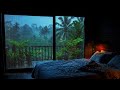 ASMR Rain Sounds : Rainy Day in the Rice Fields | Relaxing Rain Sounds for Sleep