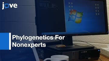 Practical Guide To Phylogenetics For Nonexperts l Protocol Preview
