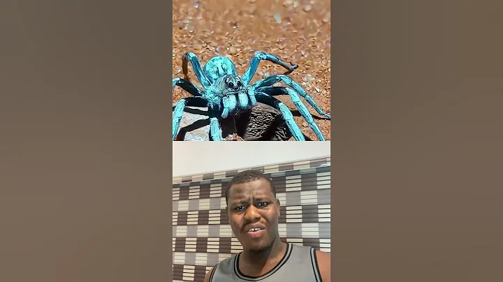 #facts #duet #funny #mindoverblox #funnymemes #maths #comedy #brainteaser #puzzle #roblox