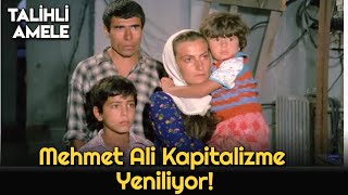 Talihli Amele Mehmet Ali, Kapitalizme Yeniliyor