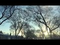 Утро морозное в Канаде | the sun dog | Winnipeg CANADA