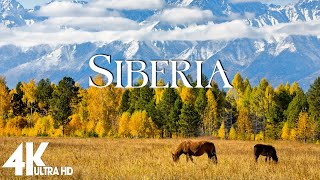 Siberia Drone Nature Film 4K - Peaceful Relaxing Piano Music - Amazing Nature
