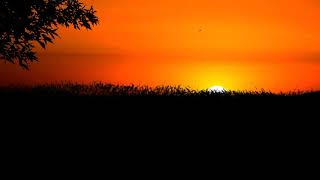 #Футаж закат в Африке ◄4K•HD► #Footage sunset in africa