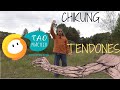 15 min. de CHIKUNG para los TENDONES | Tao Práctico