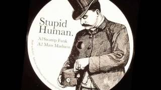 Stupid Human - Swamp Funk chords