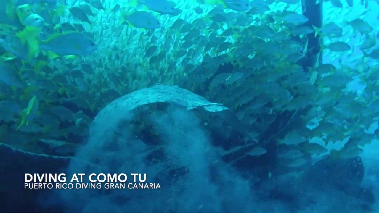 Wreck Diving in Gran Canaria at Como Tu padis point baguio