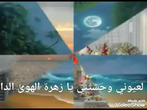والموجه تجري ورا الموجه عارزة اطولها
