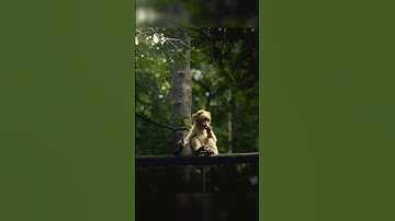 Lightroom masking tutorial ✨ #lightroommasking #shotoniphone #colorgrading