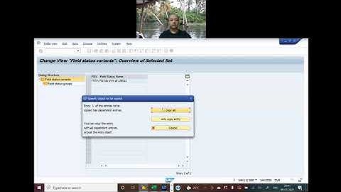 S4Hana FICO 8 Configure Field Status Variant and Assign to Company Code   Config