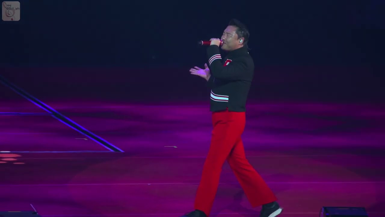 싸이 - 감동이야 [231224 2023 올나잇 콘서트]