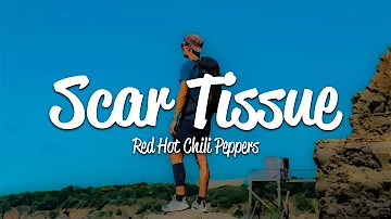 Red Hot Chili Peppers - Scar Tissue (Lyrics)