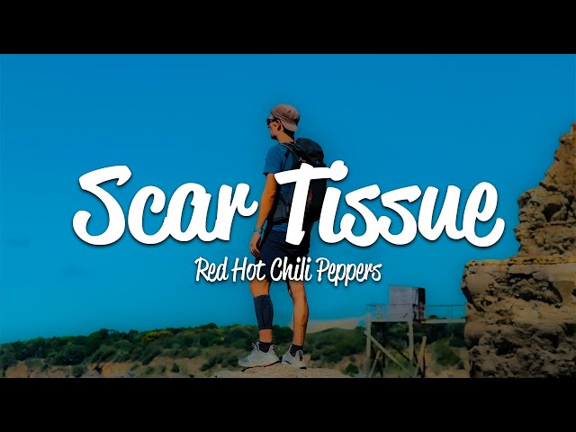 Red Hot Chili Peppers - Scar Tissue (Lyrics) class=