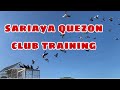 Sariaya quezon club training reggie cruz loft  aviary reggiecruzloftandaviary racingpigeon