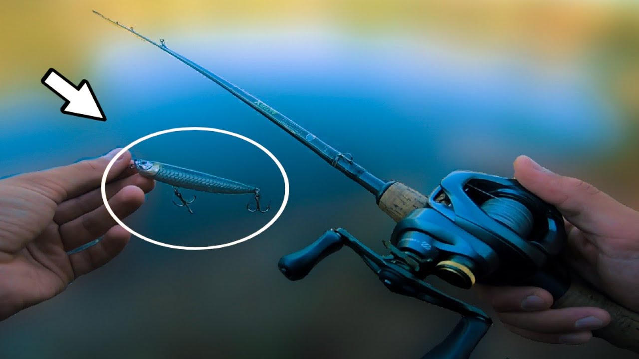 BASS FISHING AUTUNNALE – BLACK BASS vs WTD 😎🤙🏼
