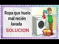 Ropa que huele mal recién lavada. Mantenimiento de la lavadora. (Editado)