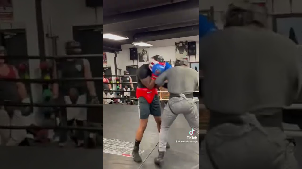 MT management et promotions