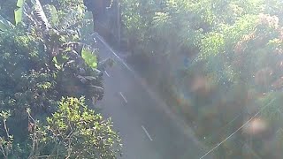 CCTV VIDEO 27 july cctv | footages | security | news | home | how | to | capture | screenshot 3