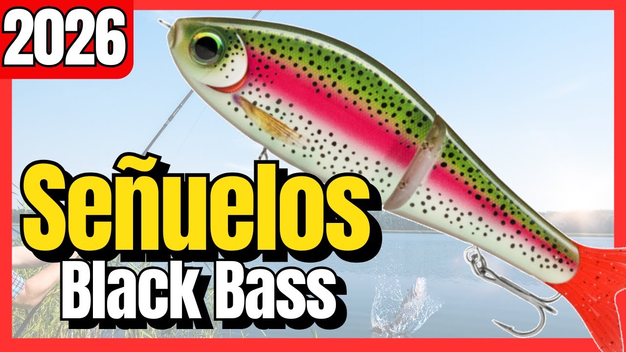 Mejores Señuelos Baratos para Black Bass 2026 🎣 | Calidad-Precio (Amazon y Aliexpress)